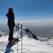 فریبا احمدی